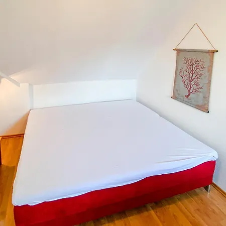 Haus Kormoran, Held Zingst